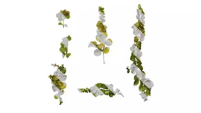 Anydrafts Lysimachia christinae Atlas 06