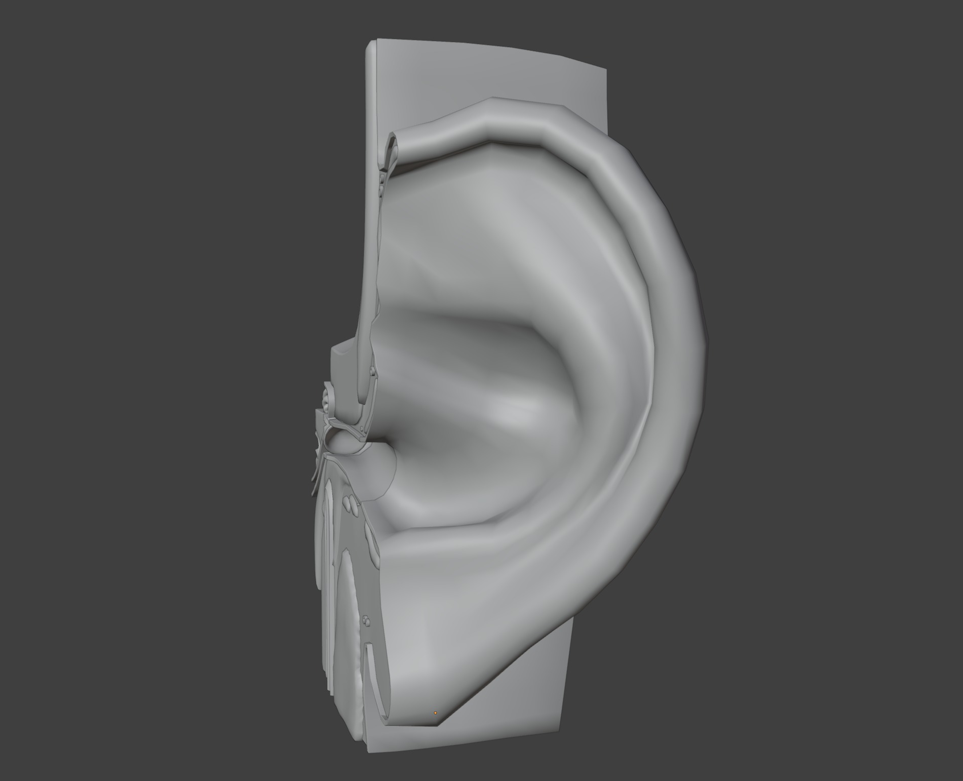 3D Model of Ear Anatomy 3D print model_14
