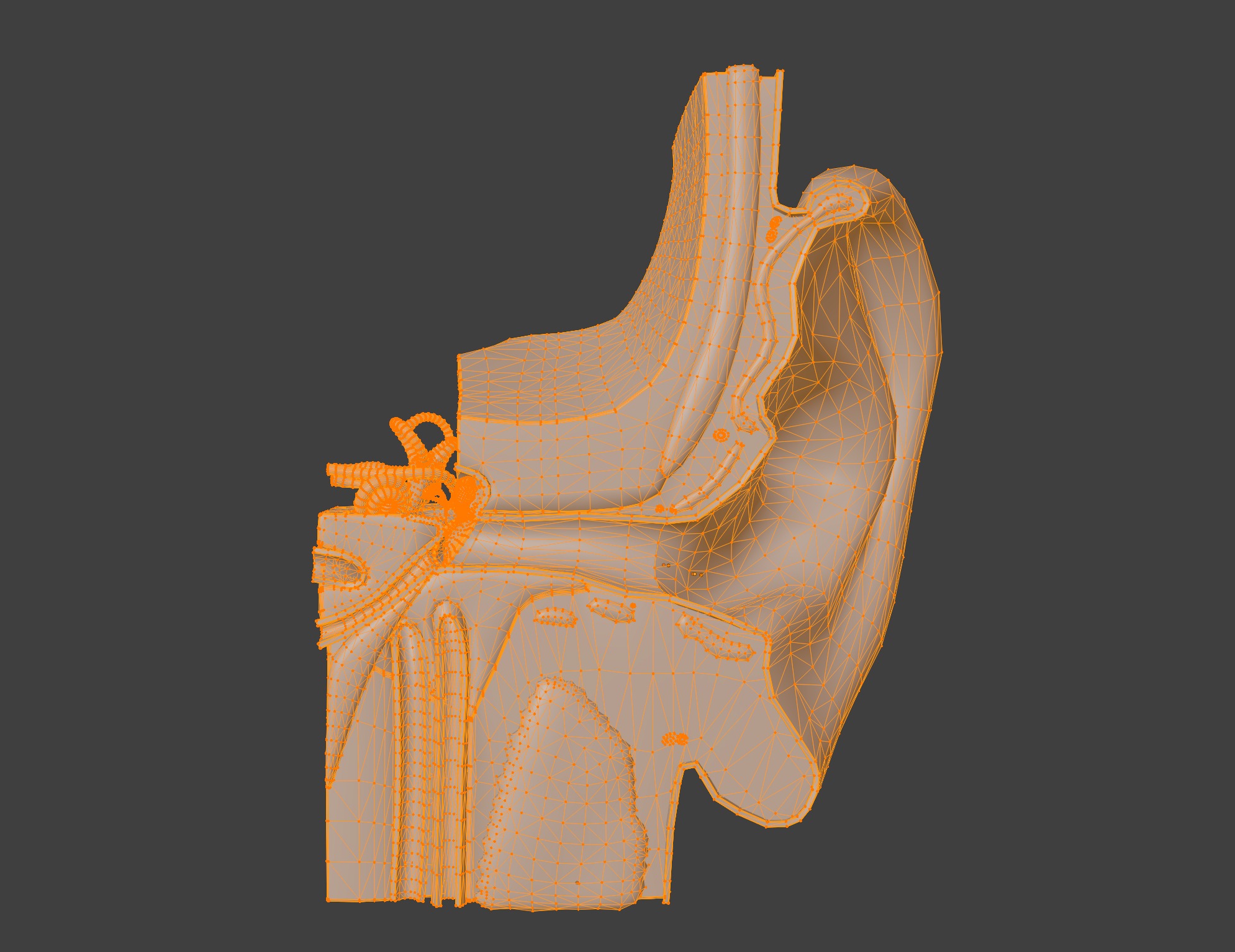 3D Model of Ear Anatomy 3D print model_6
