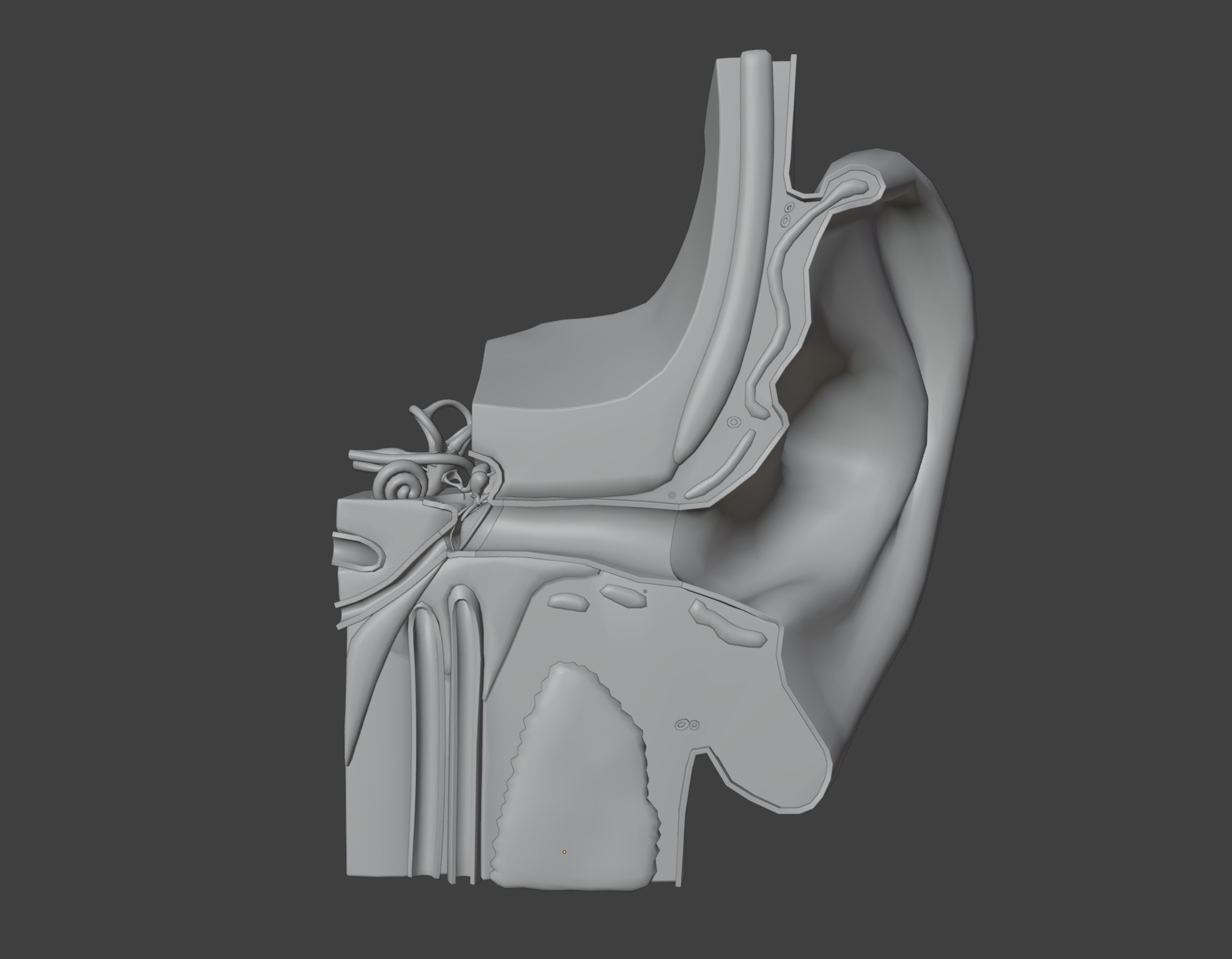 3D Model of Ear Anatomy 3D print model_13