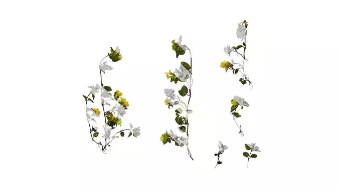 Anydrafts Lysimachia christinae Atlas 08