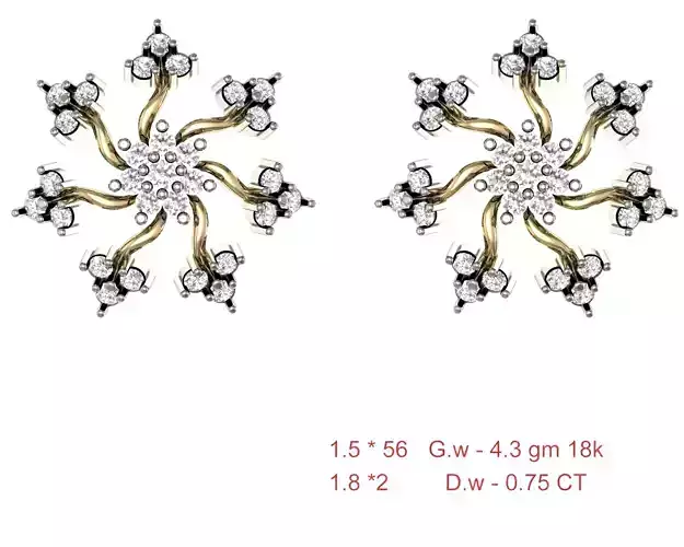  Women Earrings Render 3dm STL OBJ FBX Details