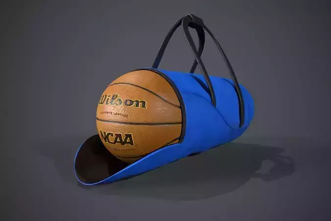 Basketball Carry Bag Low-poly 3D model