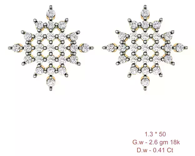  Women Earrings Render 3dm STL OBJ FBX Details