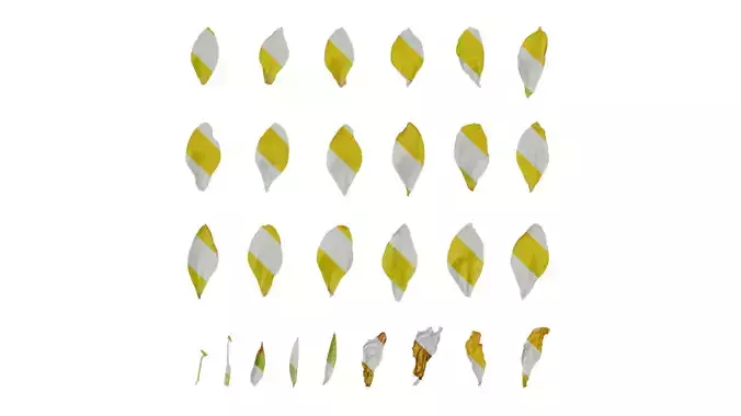 Anydrafts Lysimachia christinae Flower 02