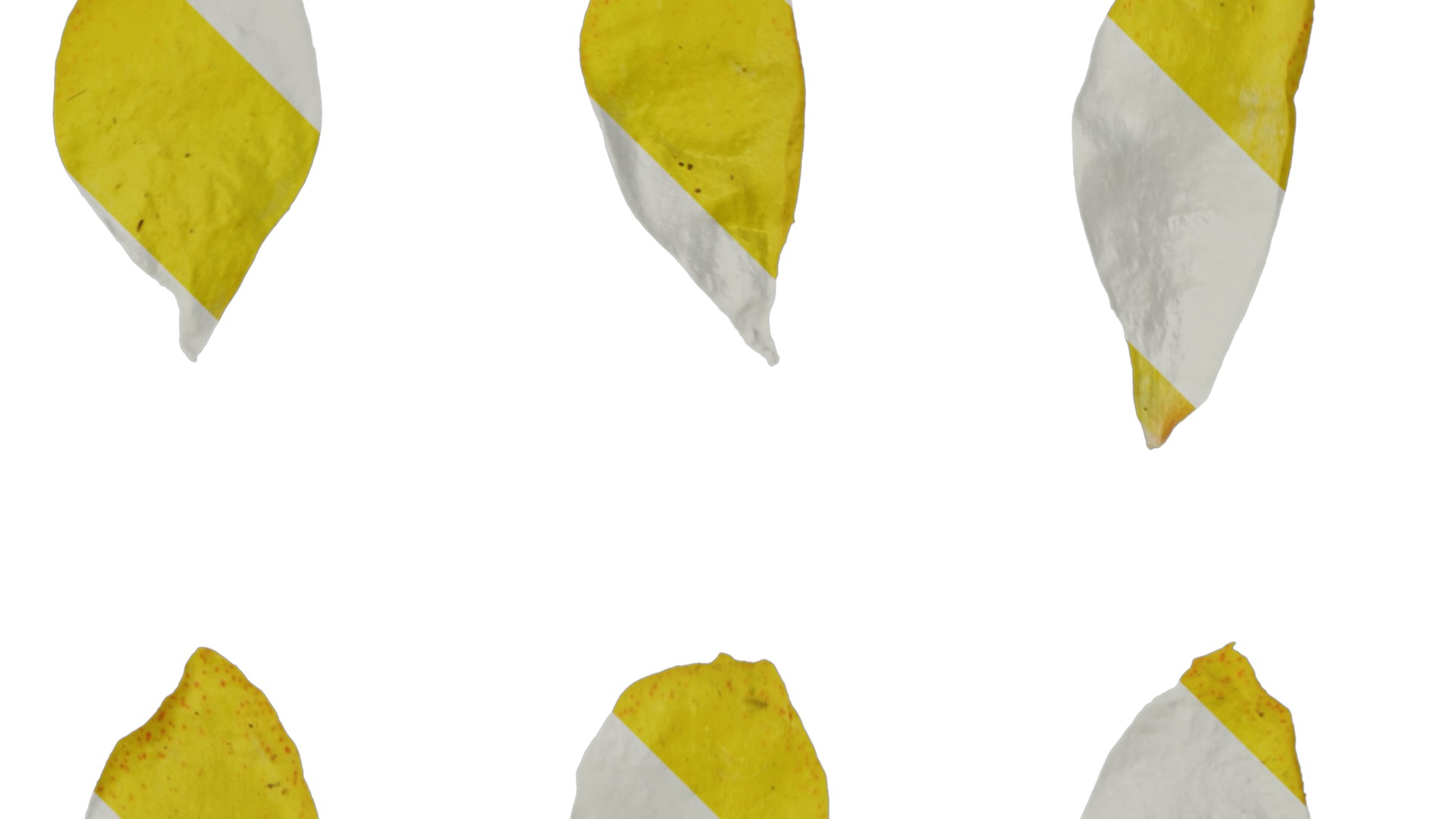 Anydrafts Lysimachia christinae Flower 02 Texture_2