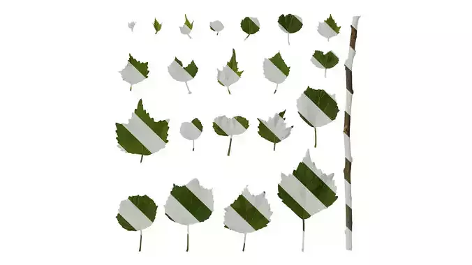 Anydrafts Hibiscus mutabilis Leaf 04