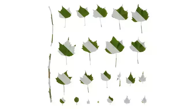 Anydrafts Hibiscus mutabilis Leaf 05