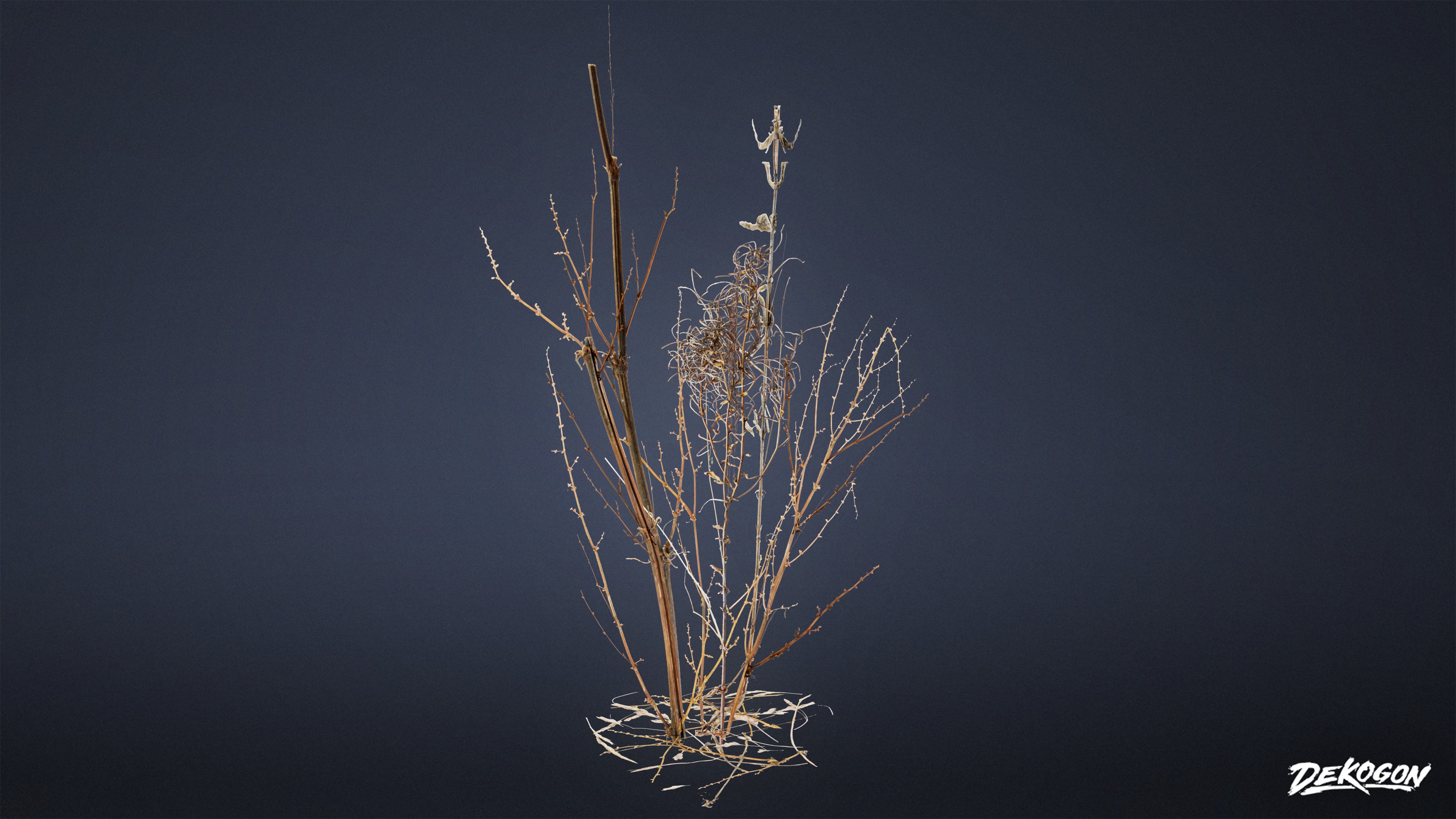 FOLIAGE - Irish Plants 02 - LOW POLY Low-poly 3D model_6