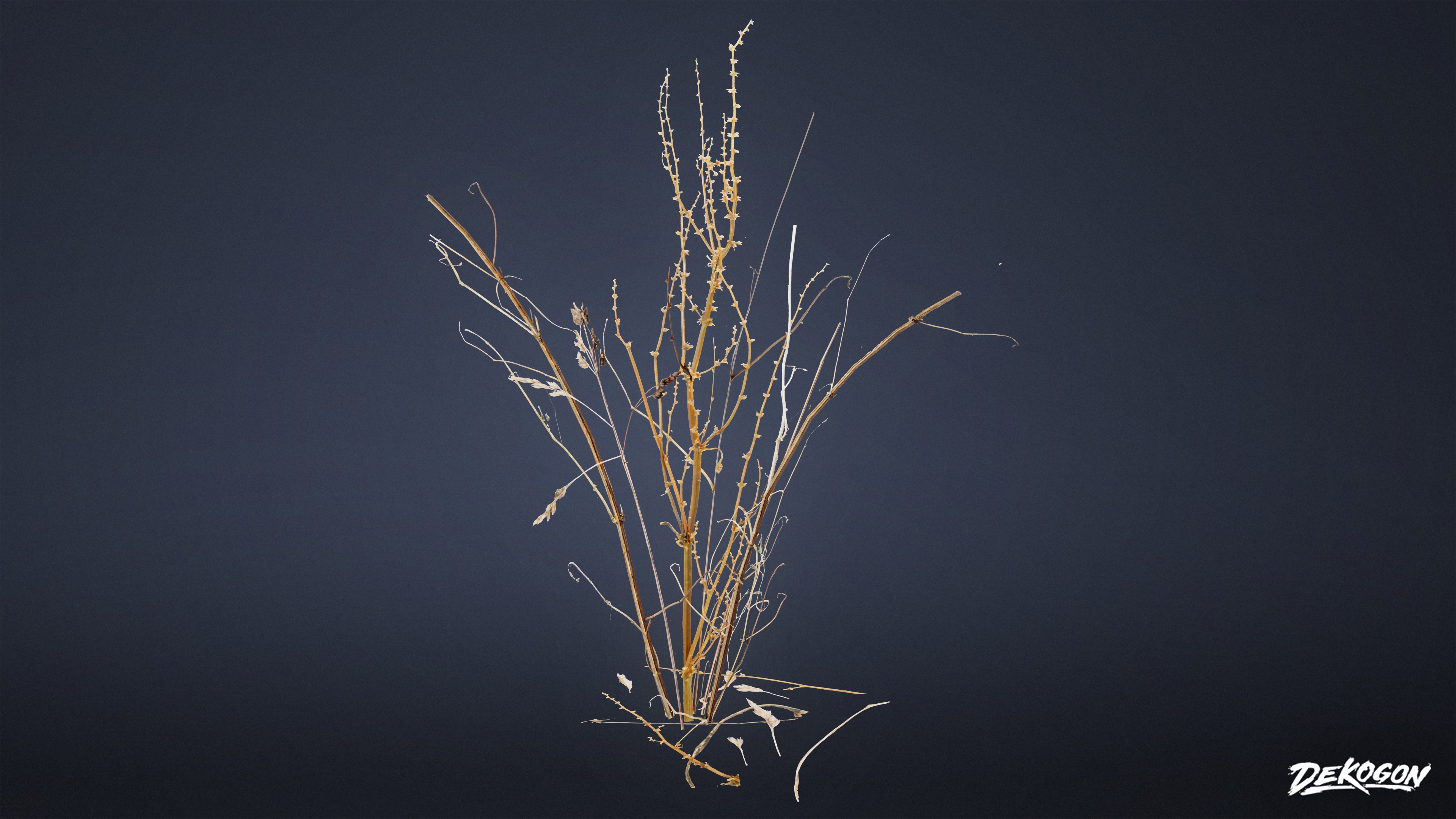 FOLIAGE - Irish Plants 02 - LOW POLY Low-poly 3D model_2