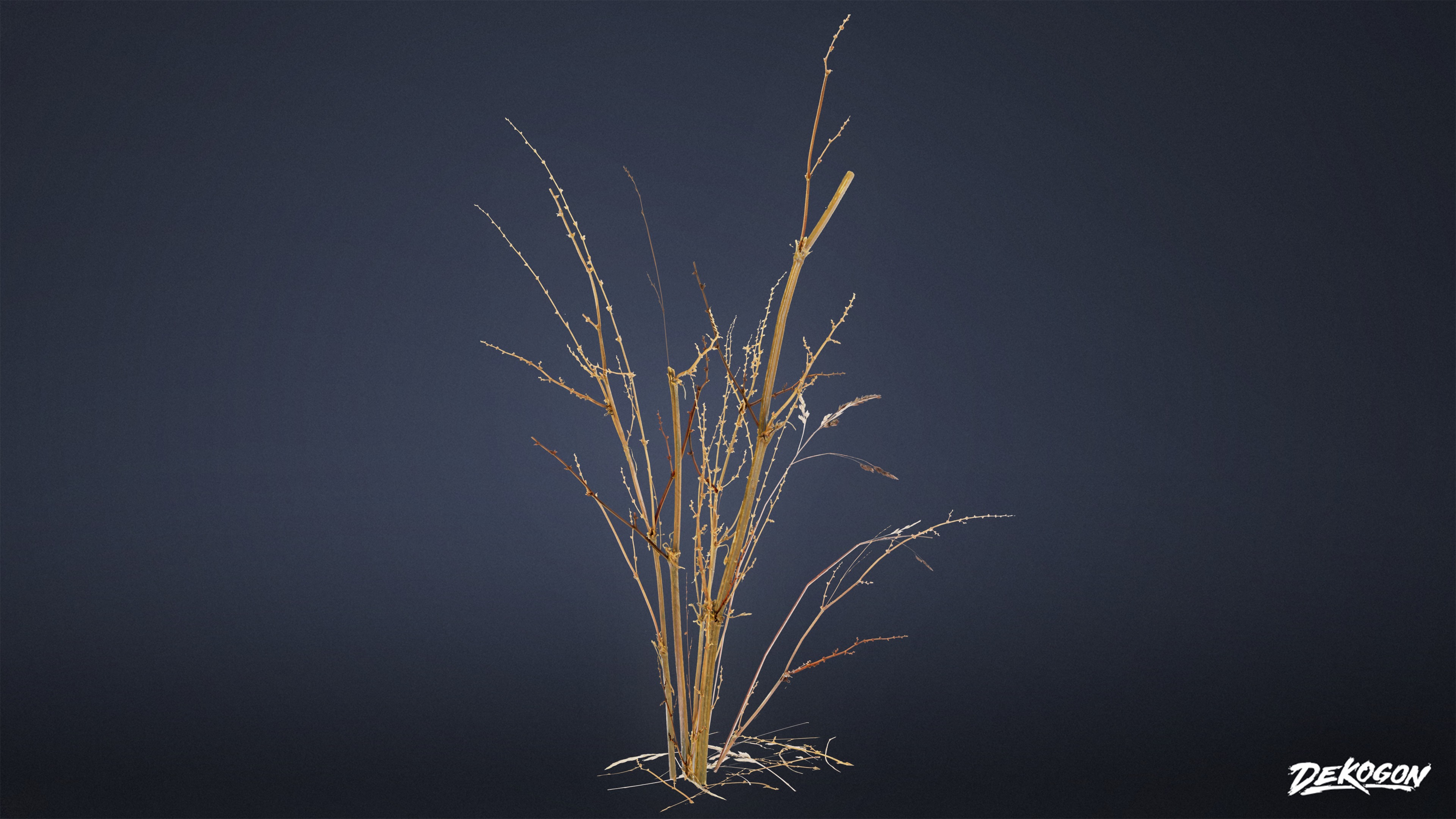 FOLIAGE - Irish Plants 02 - LOW POLY Low-poly 3D model_4