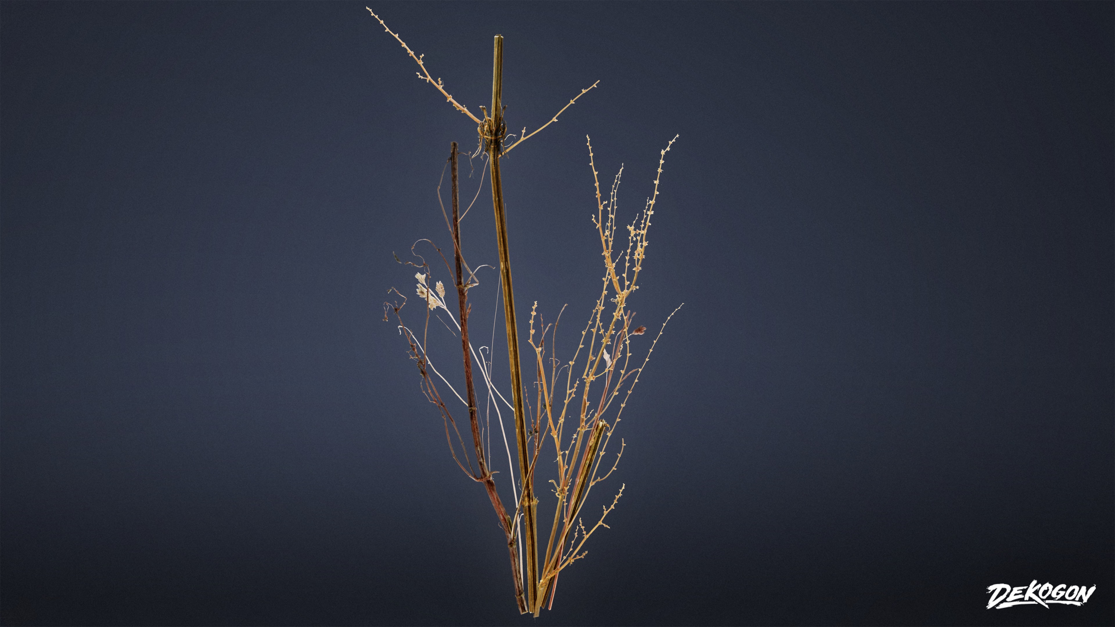 FOLIAGE - Irish Plants 02 - LOW POLY Low-poly 3D model_3