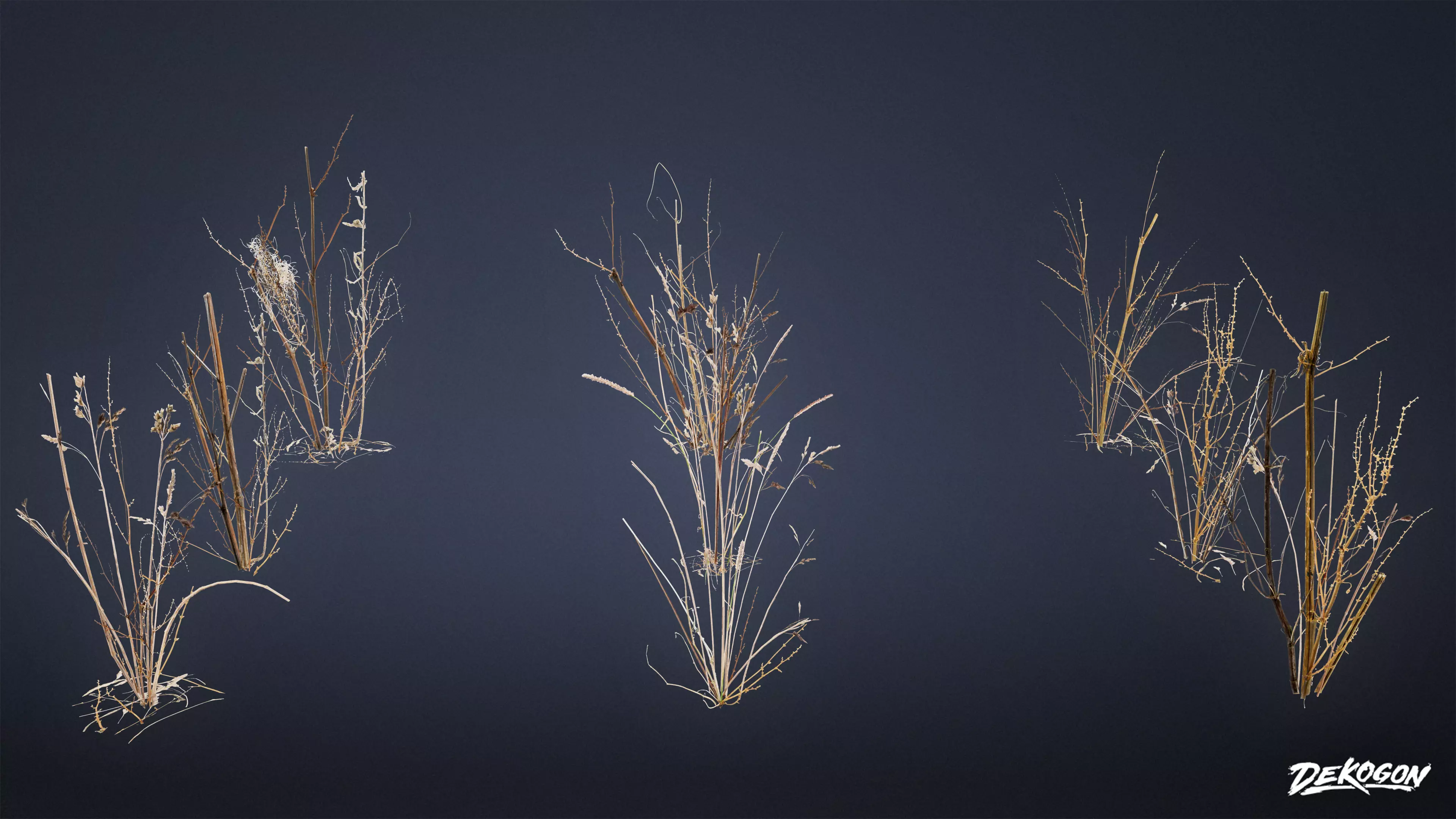 FOLIAGE - Irish Plants 02 - LOW POLY Low-poly 3D model_0