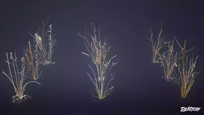 FOLIAGE - Irish Plants 02 - LOW POLY