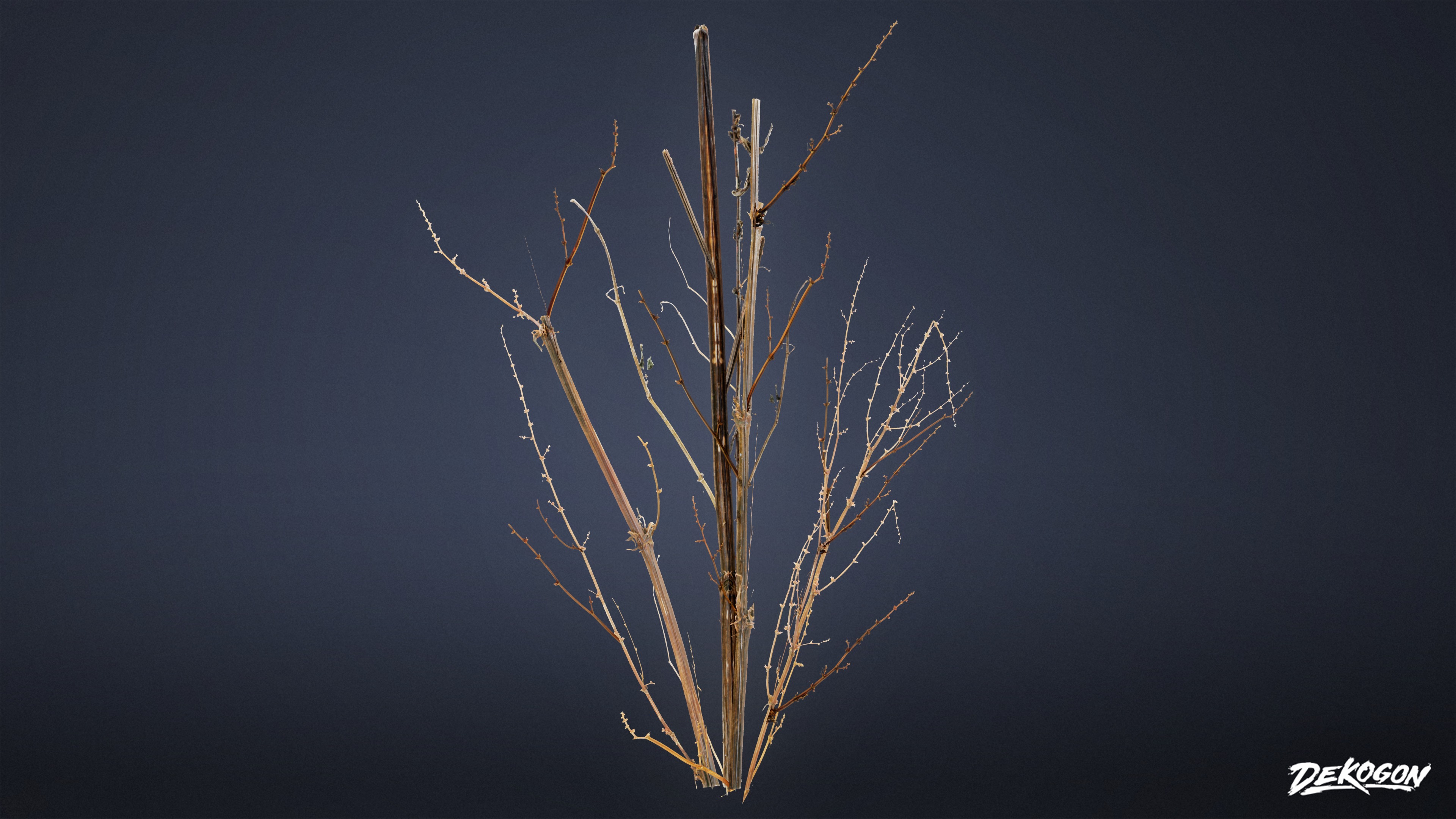 FOLIAGE - Irish Plants 02 - LOW POLY Low-poly 3D model_1