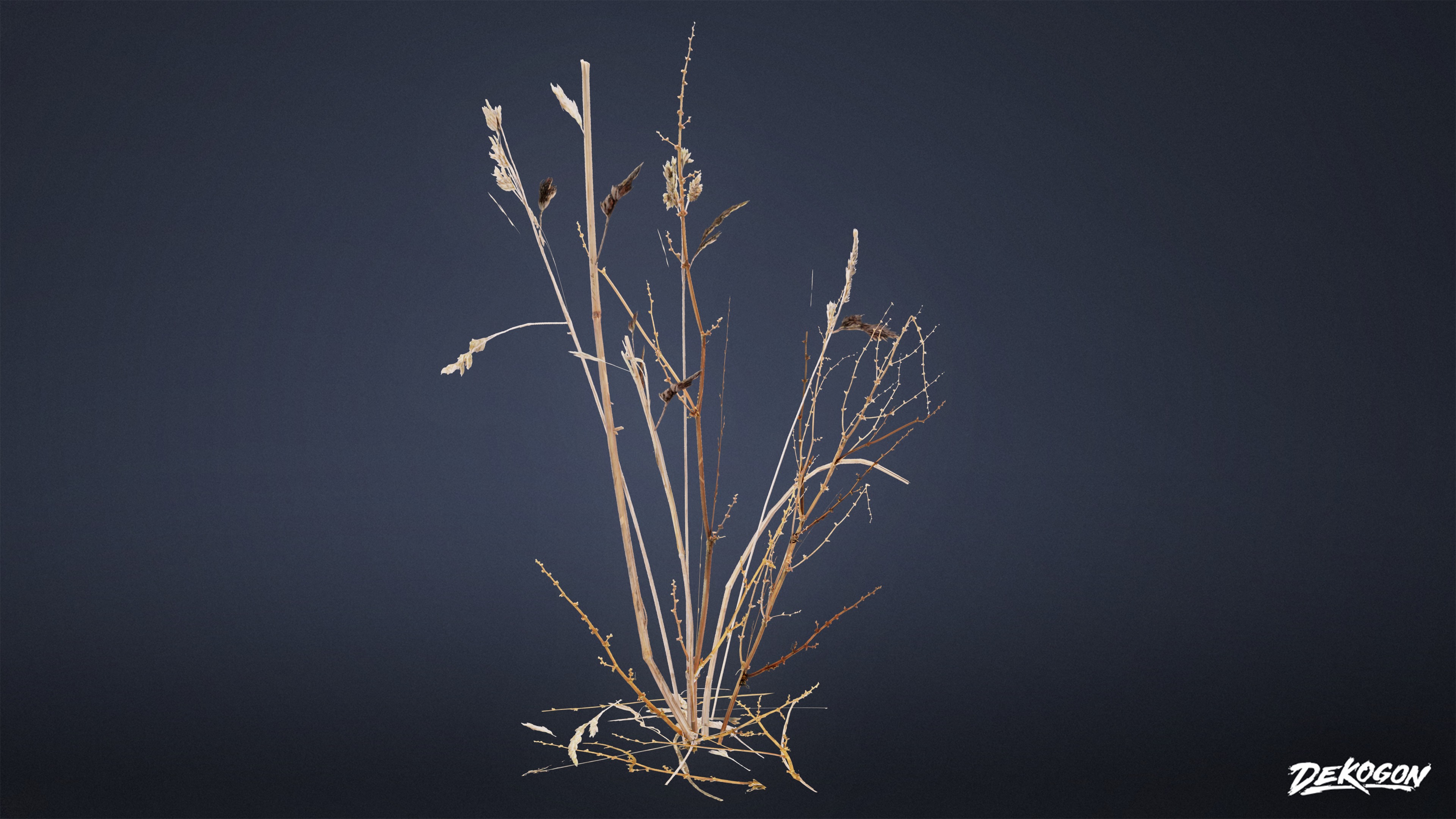 FOLIAGE - Irish Plants 02 - LOW POLY Low-poly 3D model_5