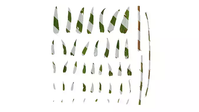 Anydrafts Lythrum salicaria Leaf 01