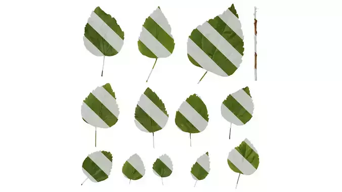 Anydrafts Hibiscus rosa sinensis Leaf 01