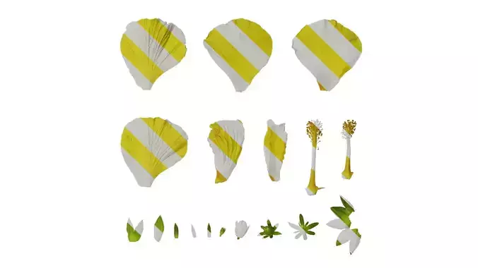 Anydrafts Hibiscus tiliaceus Flower 01