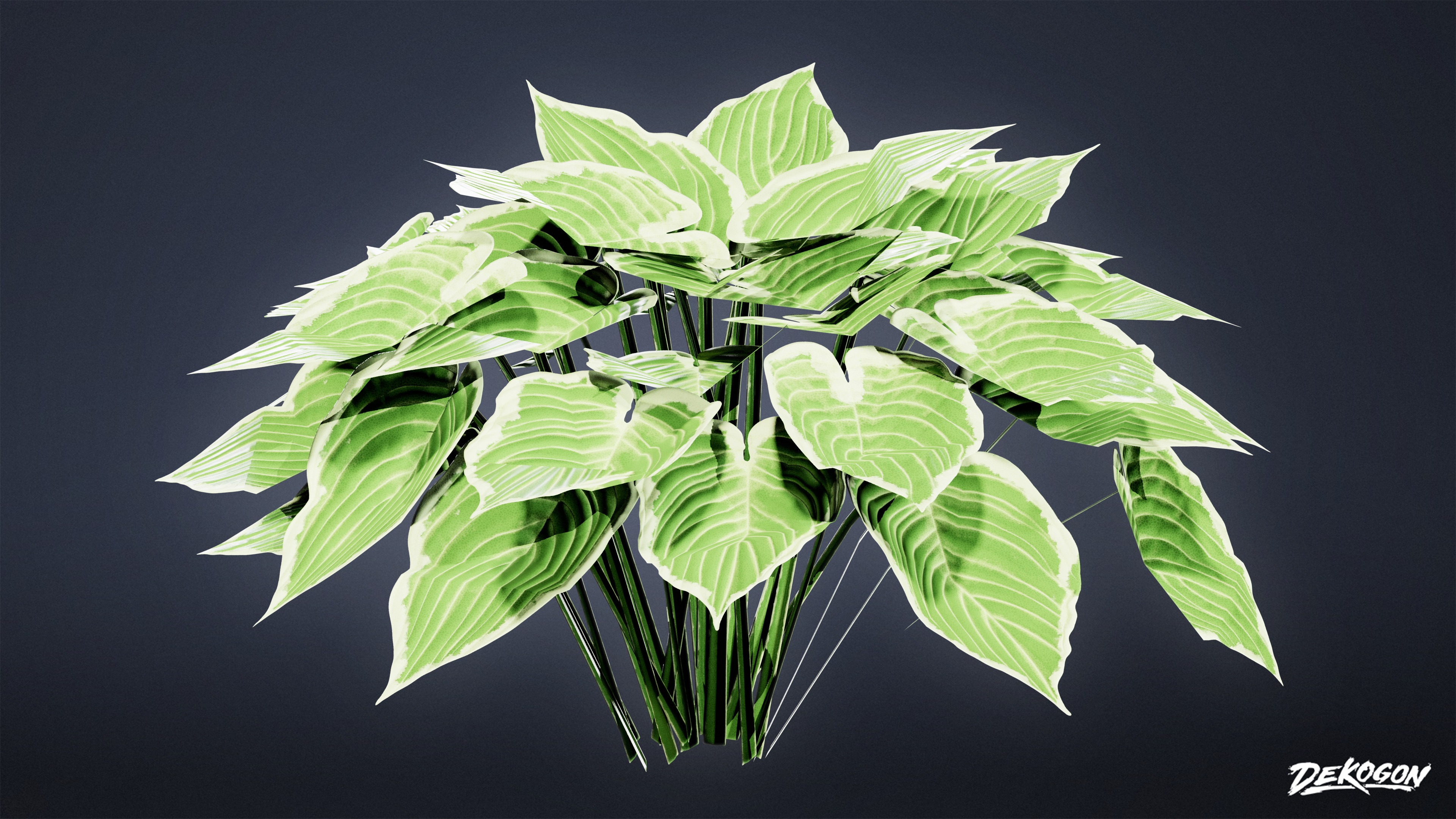 FOLIAGE - Patriot Hosta 01 - LOW POLY Low-poly 3D model_1