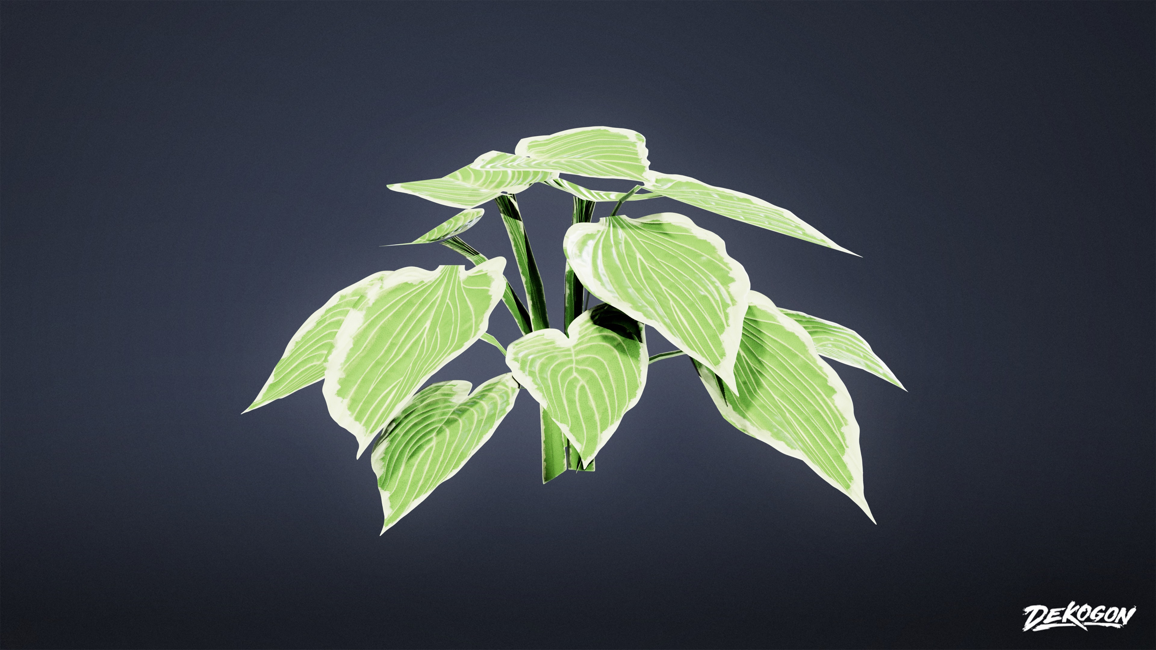 FOLIAGE - Patriot Hosta 01 - LOW POLY Low-poly 3D model_3