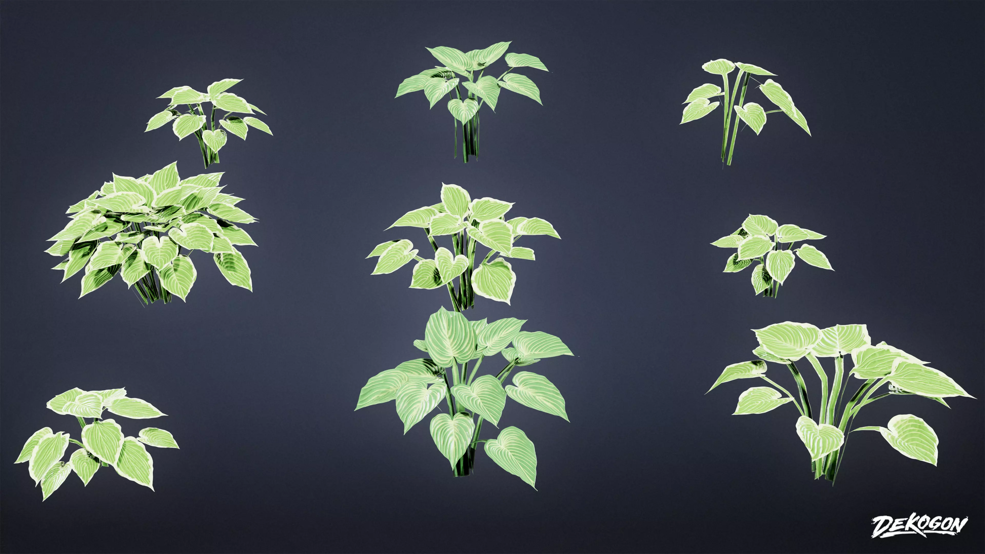 FOLIAGE - Patriot Hosta 01 - LOW POLY Low-poly 3D model_0