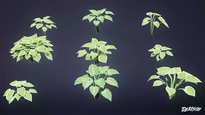 FOLIAGE - Patriot Hosta 01 - LOW POLY