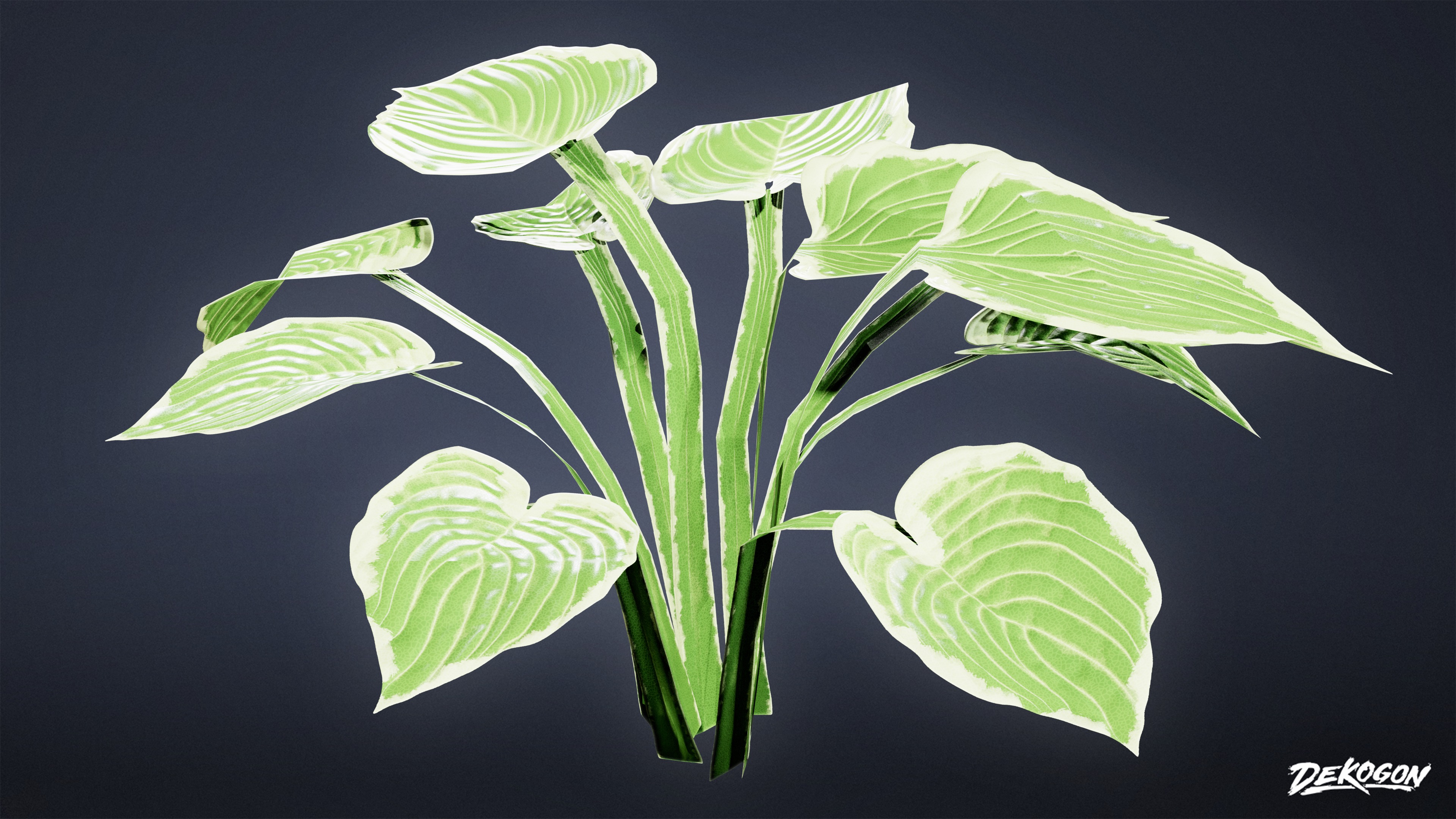 FOLIAGE - Patriot Hosta 01 - LOW POLY Low-poly 3D model_5