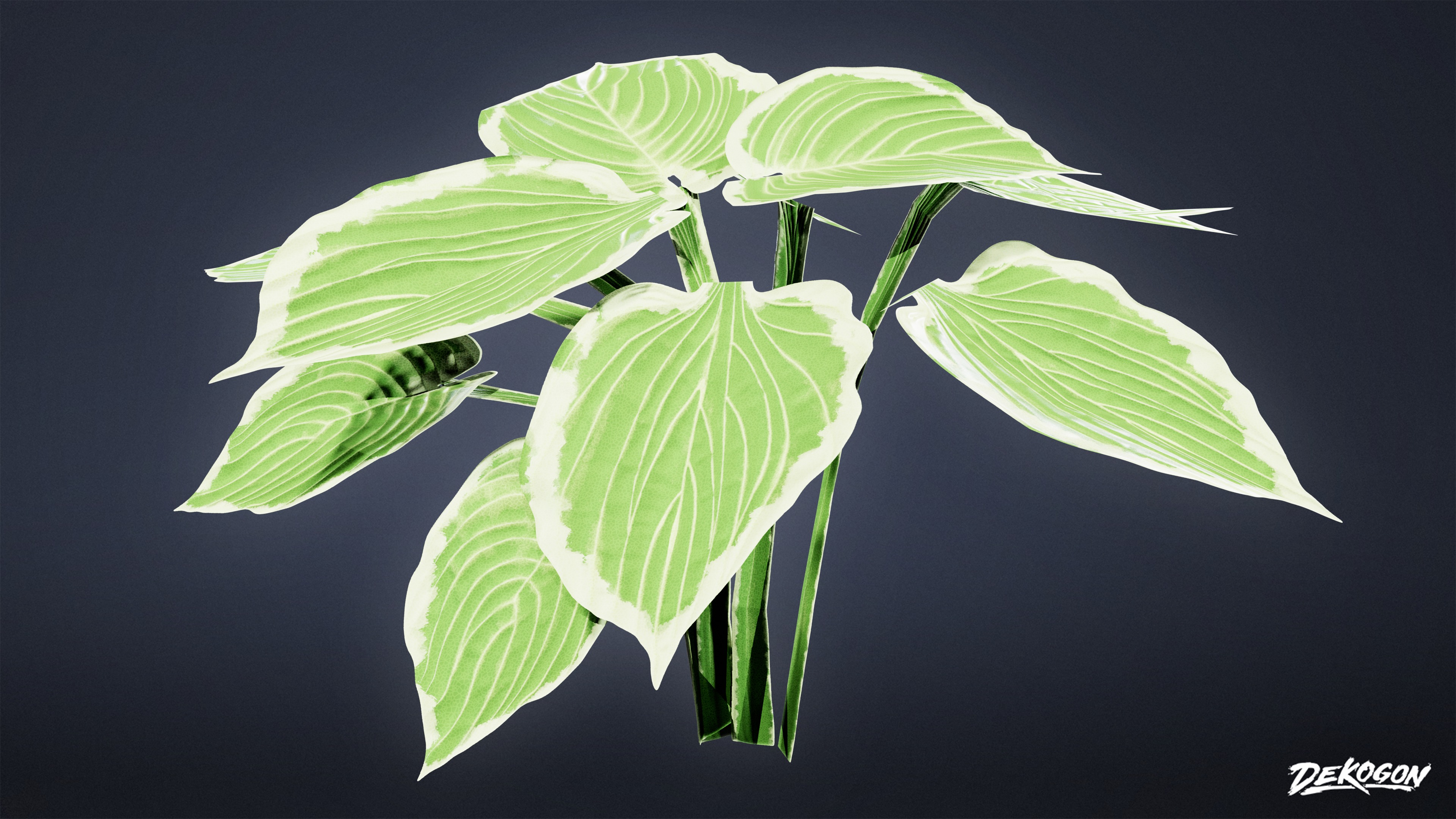 FOLIAGE - Patriot Hosta 01 - LOW POLY Low-poly 3D model_4