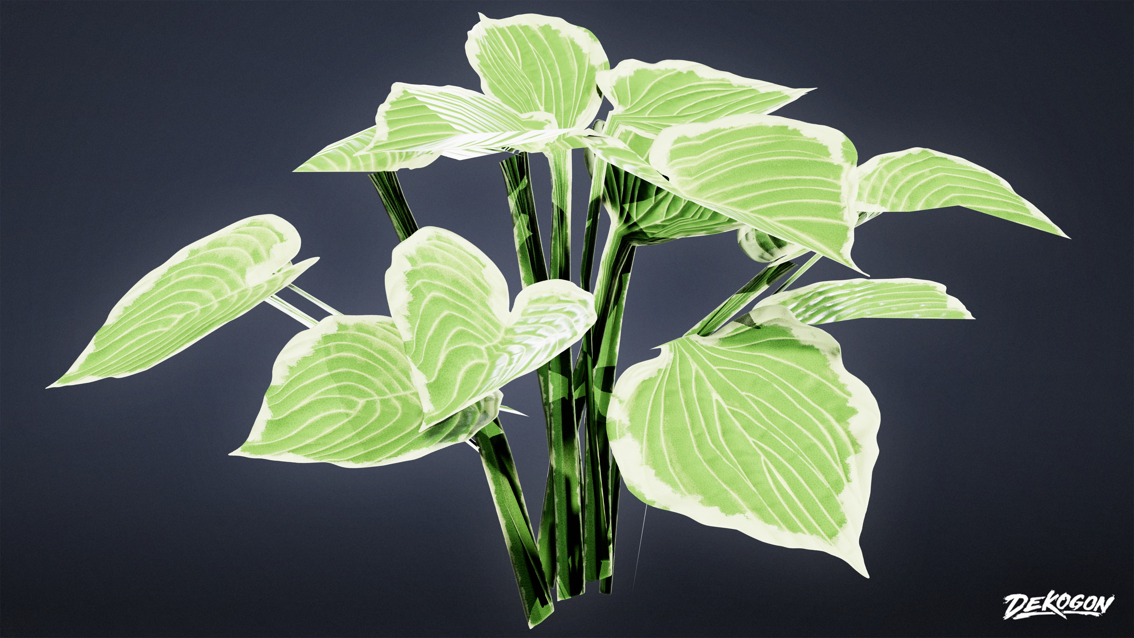 FOLIAGE - Patriot Hosta 01 - LOW POLY Low-poly 3D model_6