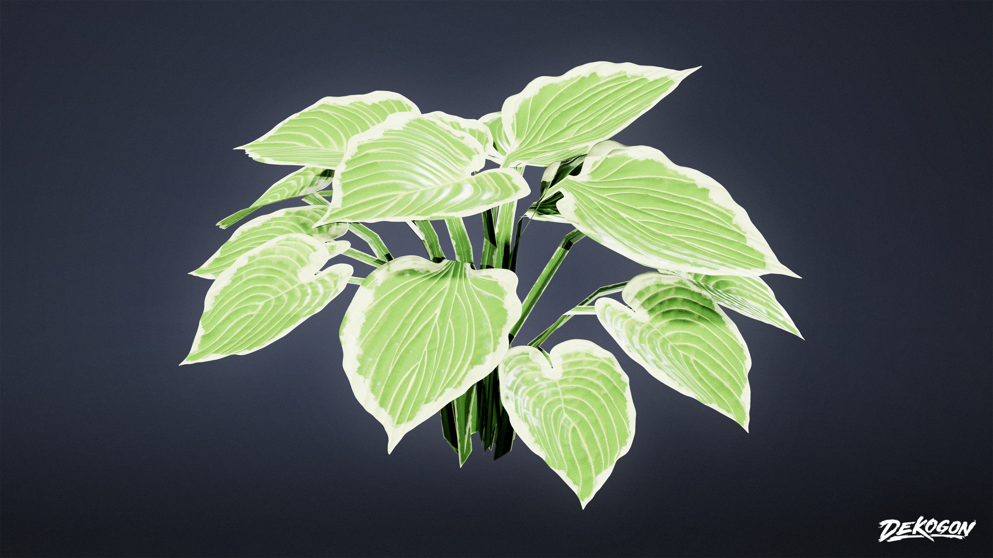 FOLIAGE - Patriot Hosta 01 - LOW POLY Low-poly 3D model_2