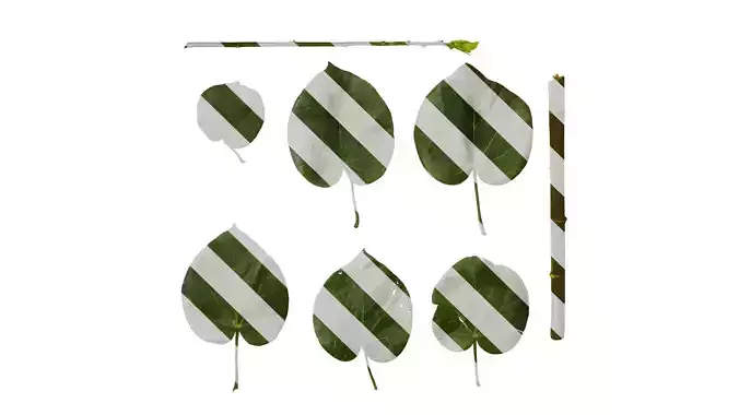 Anydrafts Hibiscus tiliaceus Leaf 01