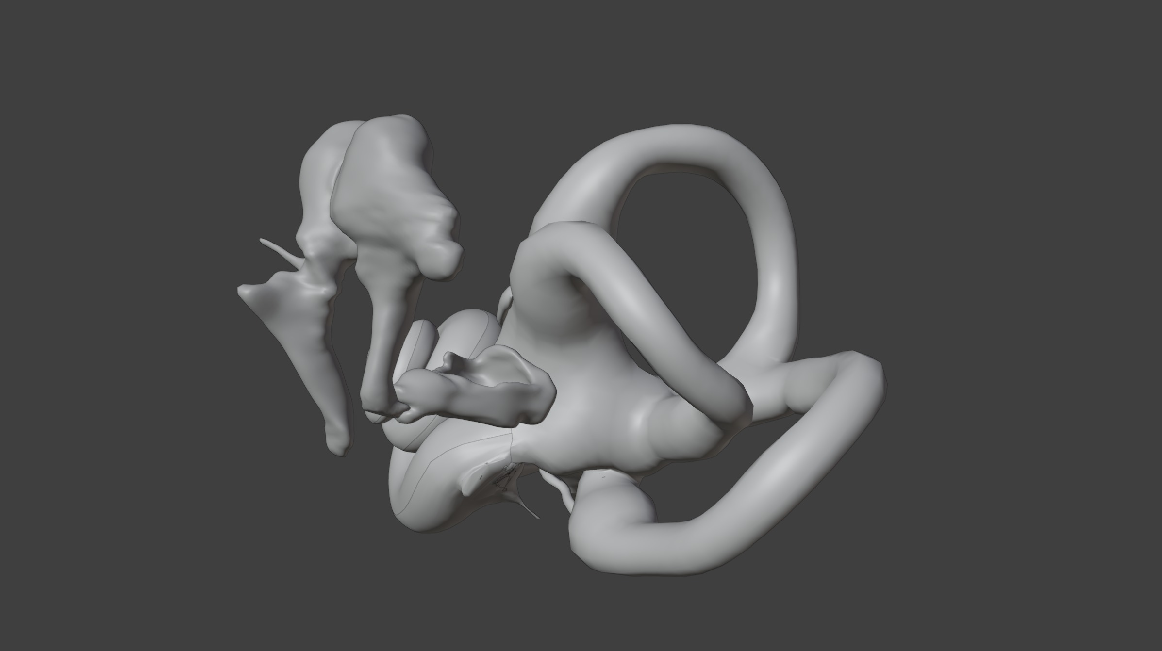  3D Model of Inner Ear Model 3D print model_3