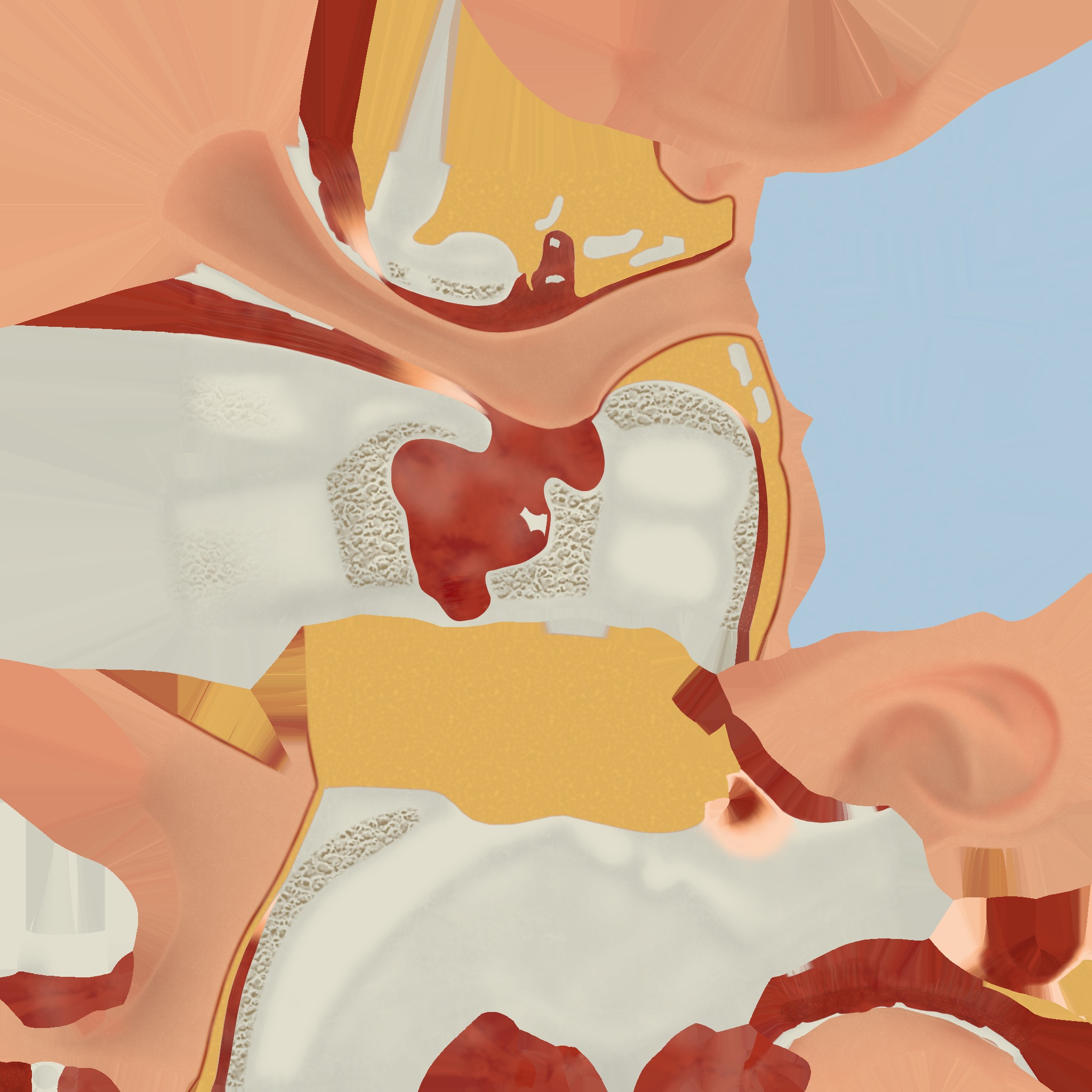 3D Model of Human Ear Anatomy 3D print model_10