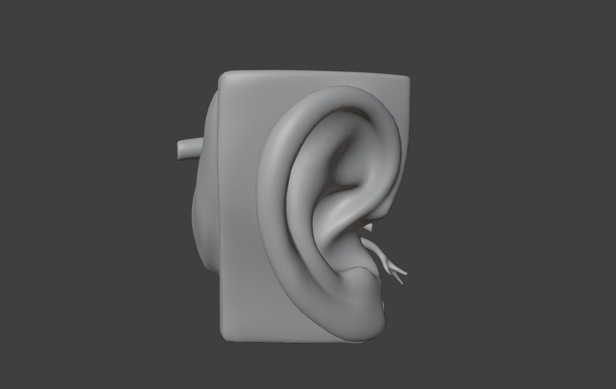 3D Model of Human Ear Anatomy 3D print model_8