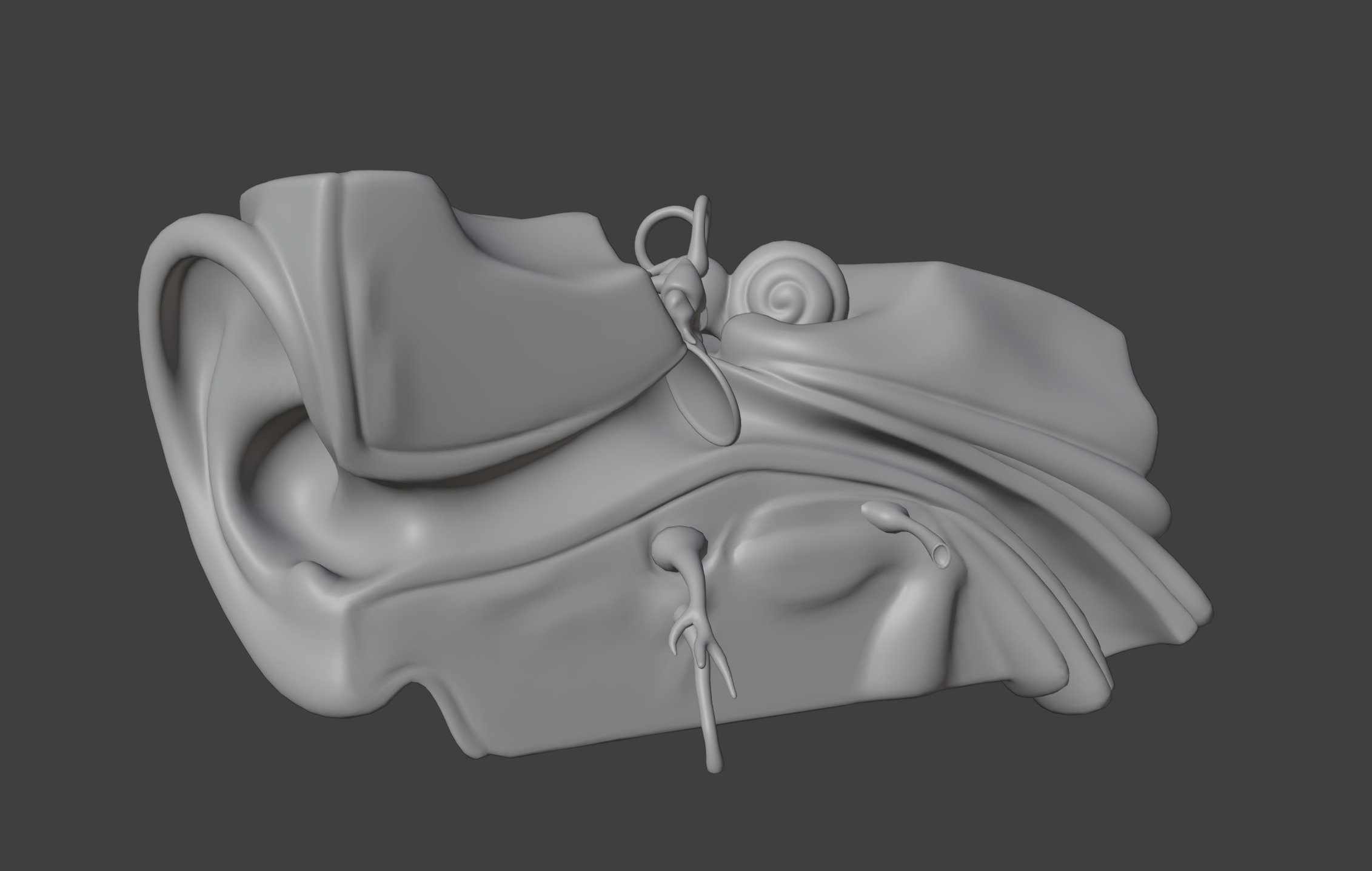 3D Model of Human Ear Anatomy 3D print model_9