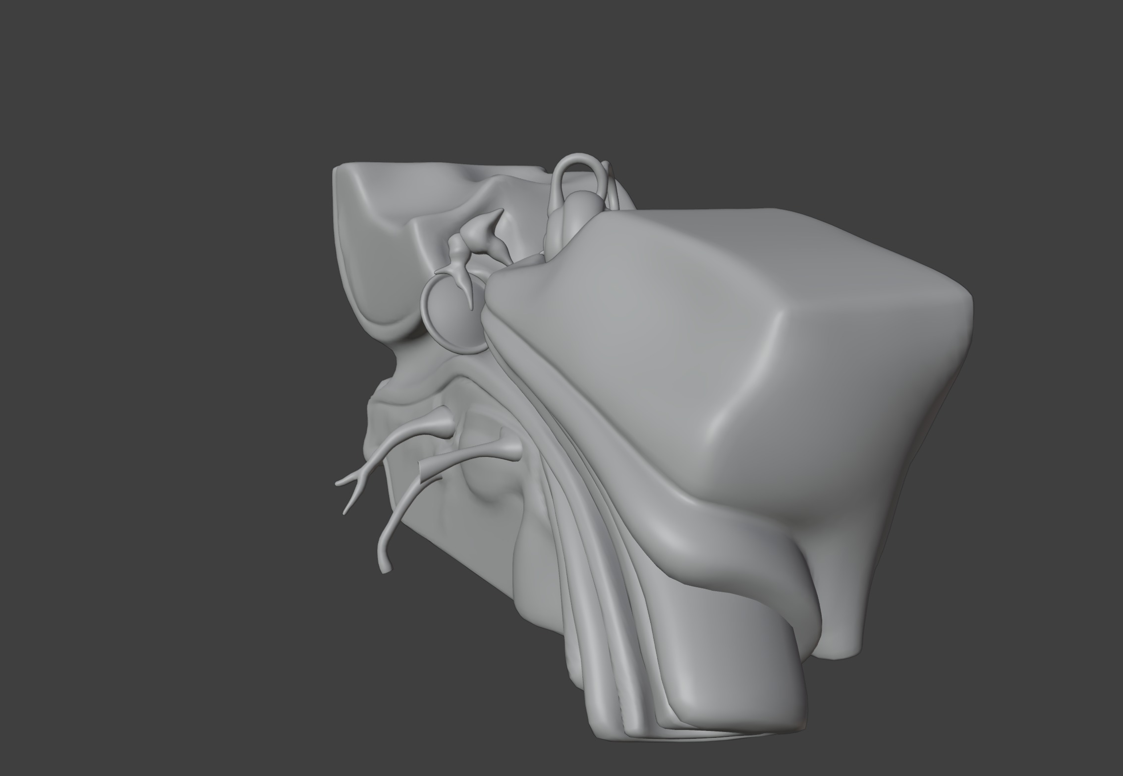 3D Model of Human Ear Anatomy 3D print model_5