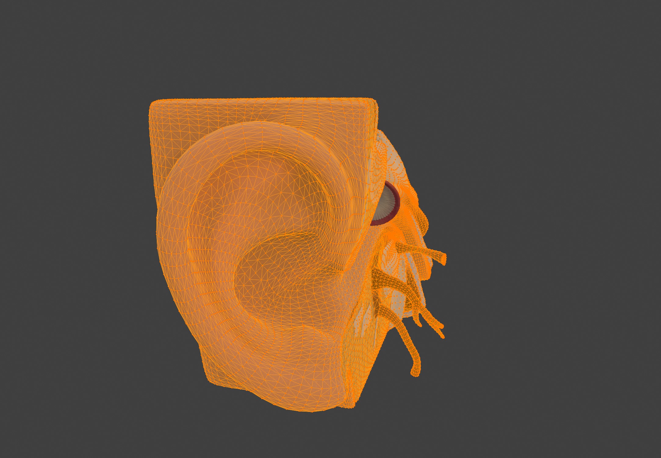 3D Model of Human Ear Anatomy 3D print model_2