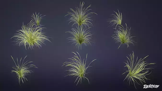 FOLIAGE - Plant Beach Grass 01 - LOW POLY