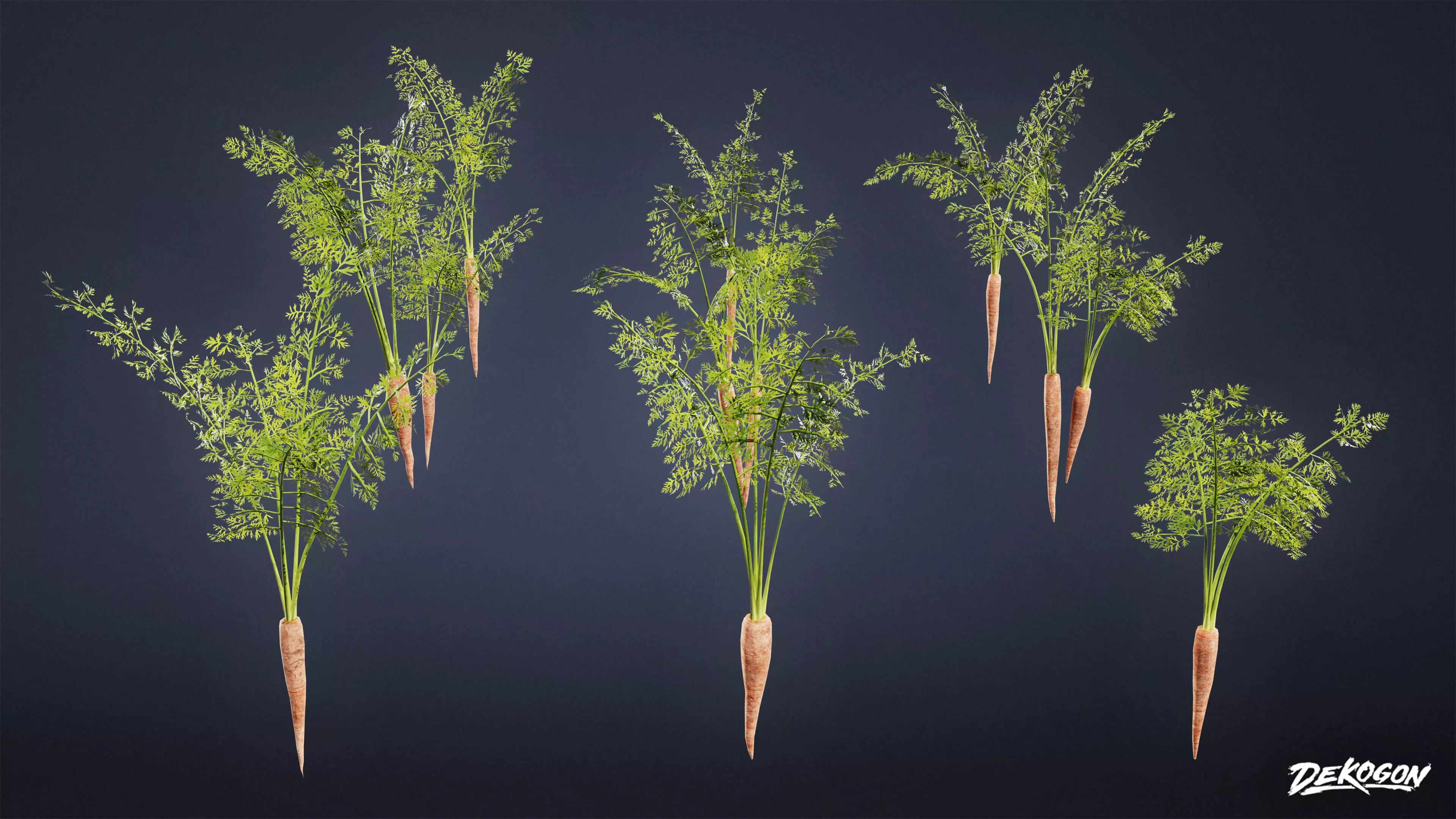 FOLIAGE - Plant Carrot 01 - LOW POLY Low-poly 3D model