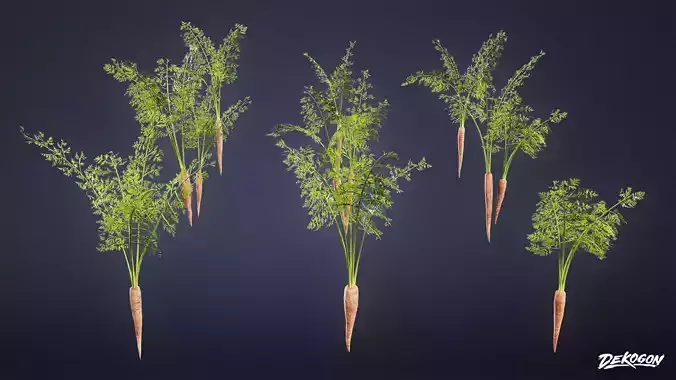 FOLIAGE - Plant Carrot 01 - LOW POLY