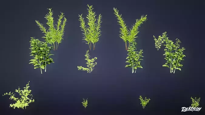 FOLIAGE - Plant Herbs 01 - LOW POLY