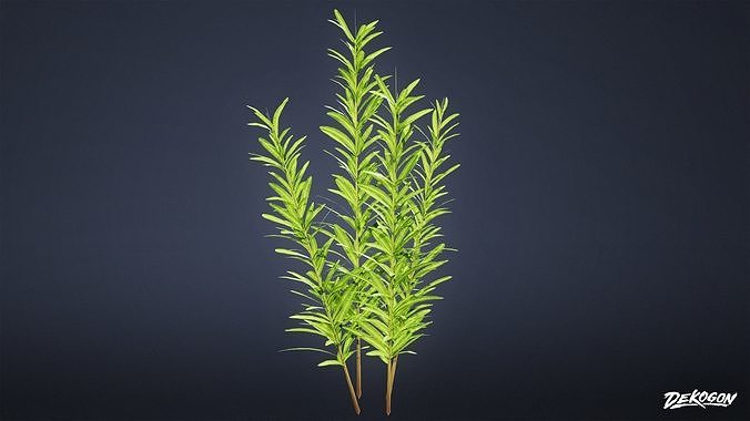 FOLIAGE - Plant Herbs 01 - LOW POLY Low-poly 3D model 5