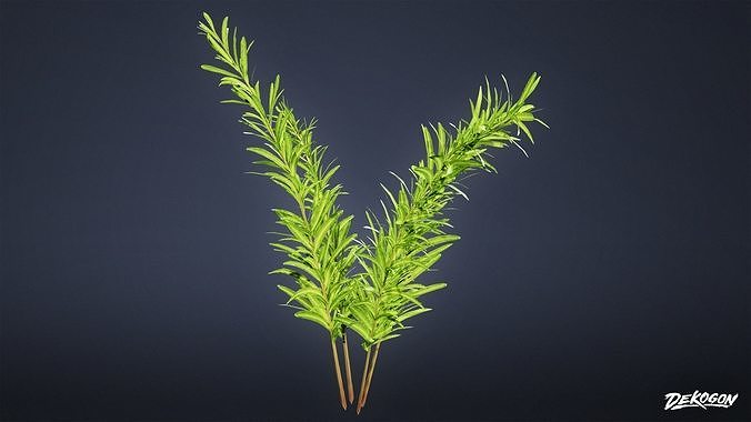 FOLIAGE - Plant Herbs 01 - LOW POLY Low-poly 3D model 7