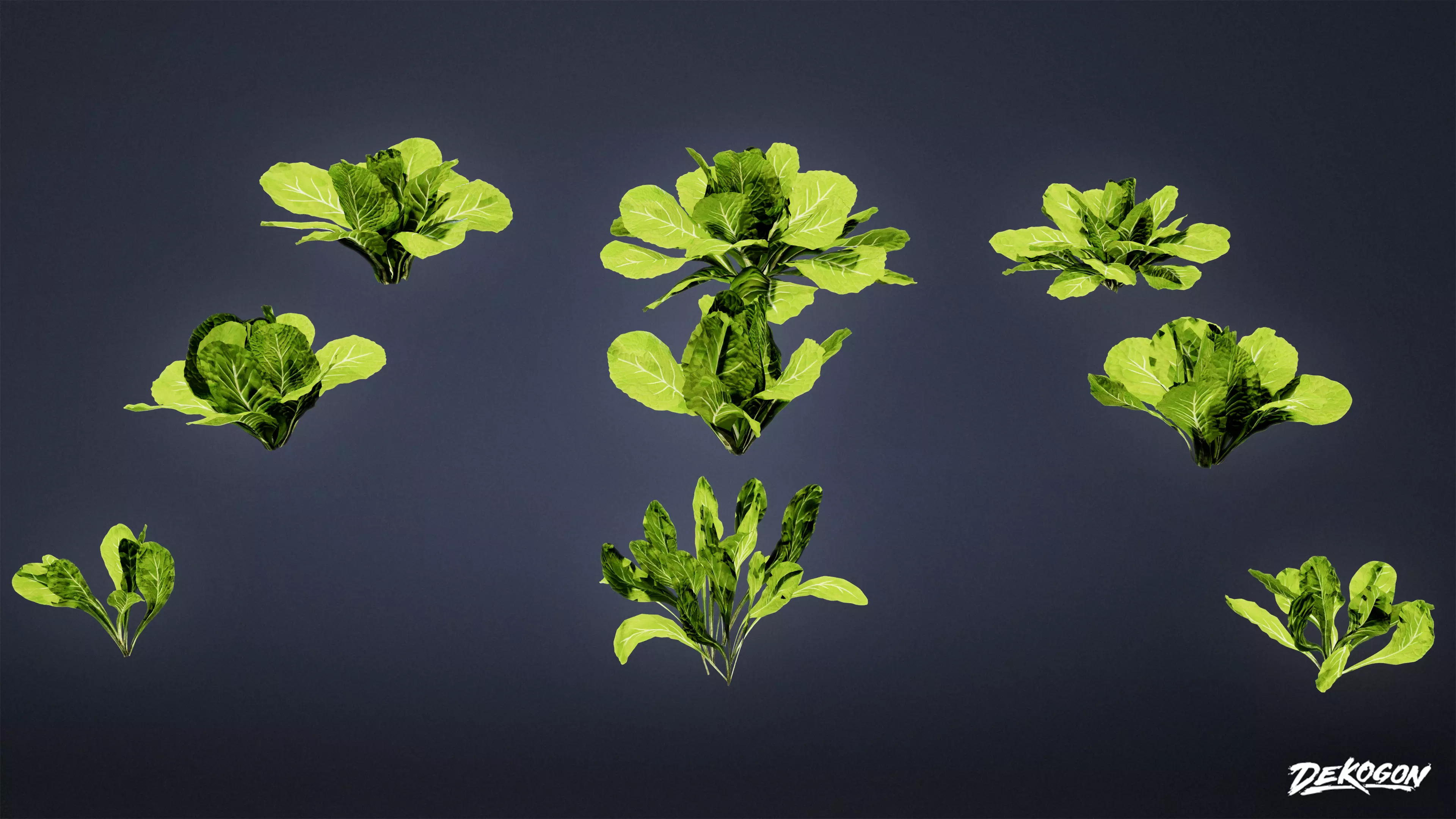 FOLIAGE - Plant Lettuce 01 - LOW POLY Low-poly 3D model