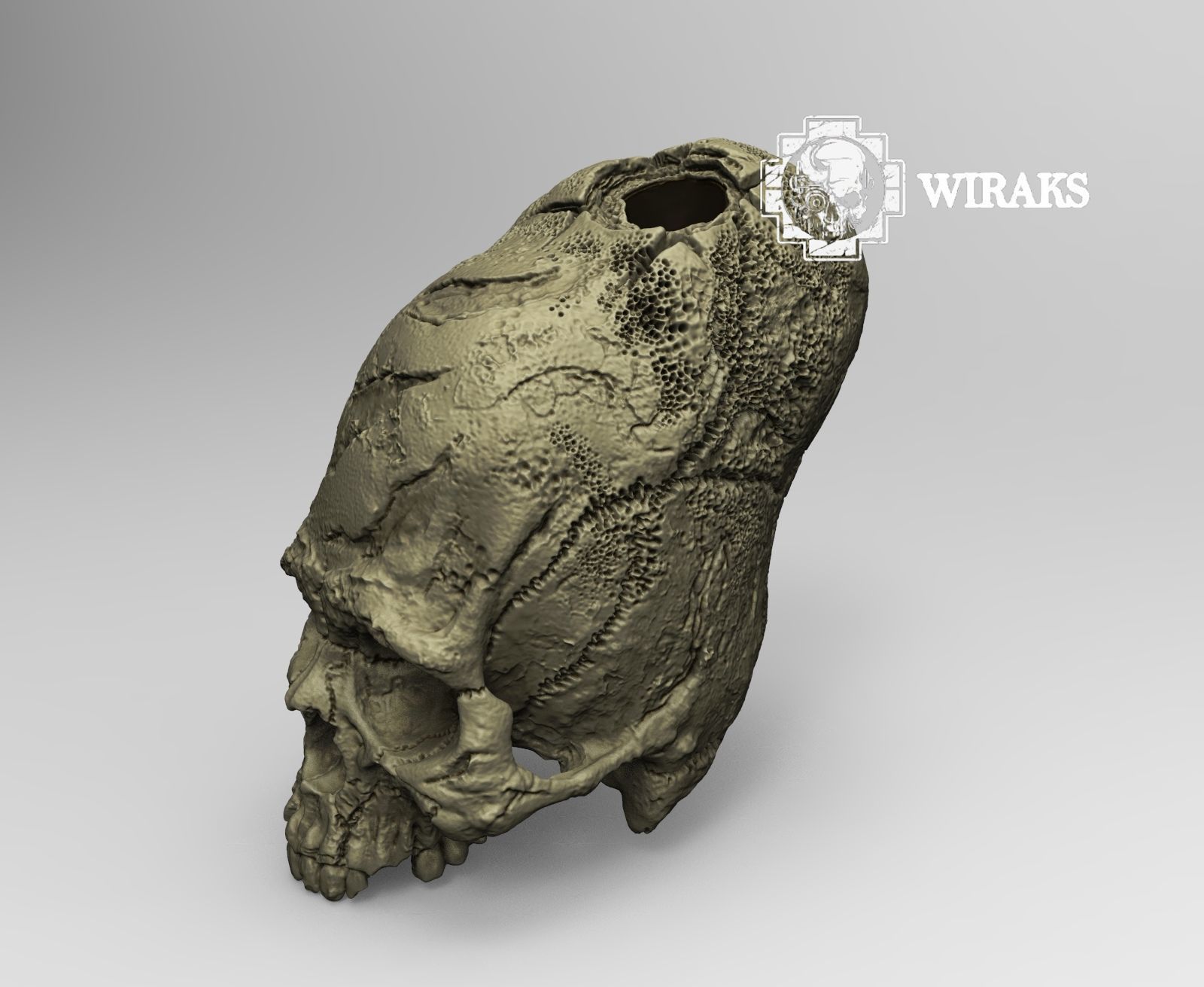 Craneo alargado Paracas 3D print model_2