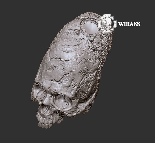 Craneo alargado Paracas 3D print model_7