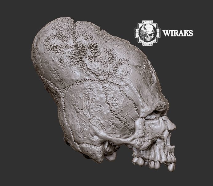 Craneo alargado Paracas 3D print model_5