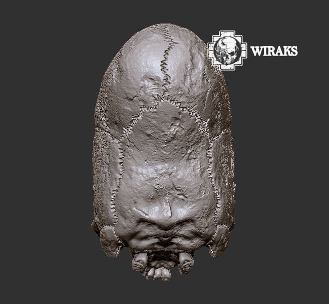 Craneo alargado Paracas 3D print model_6