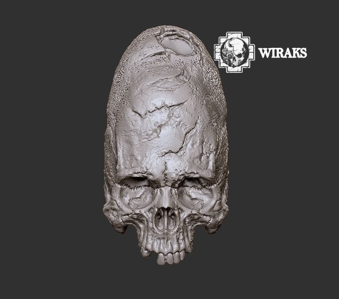 Craneo alargado Paracas 3D print model_4